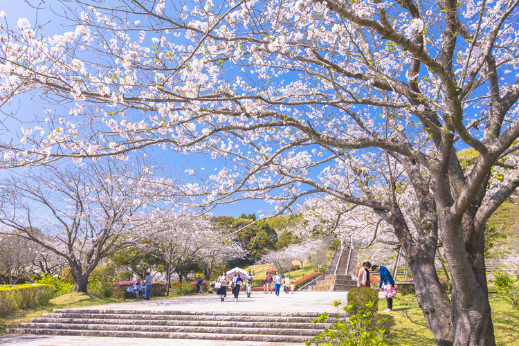 【宮崎の魅力を官民の力で広げる!】広報アドバイザー募集! 複業求人を探すなら「複業クラウド」